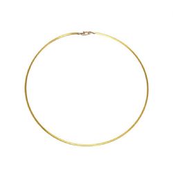 Colar Omega Dois Tons em Ouro 18 Kilates - 20648