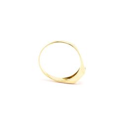 Anel Solit�rio Luz em Ouro 18 Kilates - 21060