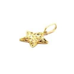Pingente Estrela em Ouro 18 Kilates - 21215