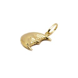 Pingente Lua em Ouro 18 Kilates - 21221