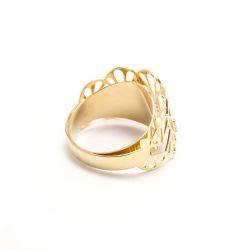 Anel Elegance em Ouro 18 Kilates - 23879