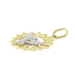 Pingente Divino Esp�rito Santo Vazado com Rodio em Ouro Amarelo 18 kilates - 25060