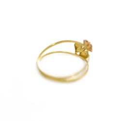 Anel Flor Tricolor em Ouro 18 Kilates � 25464